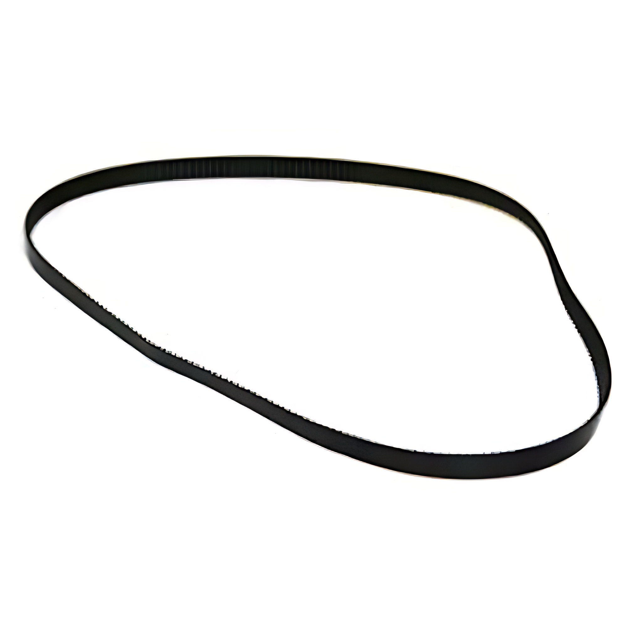 Zebra Main Drive Belt 600 dpi P1006067